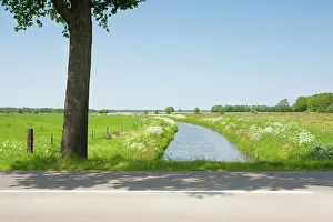 Drentsche: Road crossing a stream through meadowfields