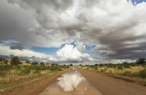 Logged: Road and Cumulus clouds in the Kalahari Desert during