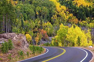 George: Road, fall colors. Colorado