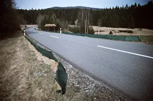 Migrating: Road Guides to deflect migrating frogs to tunnel under road