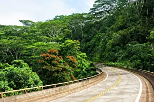Hawai I: Road from Kilauea to Princeville, Kauai, Hawaii