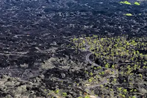 Scenics: Road through lava flow field from 1974 - Mount Batur