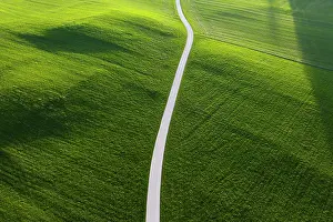 160919: Road through meadow in the morning light, near M&, x2ece9ba7;