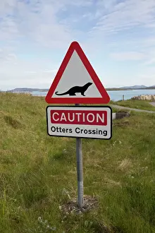 Causeway: Road Sign