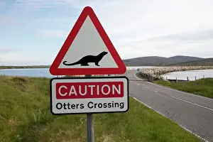 Causeway: Road Sign