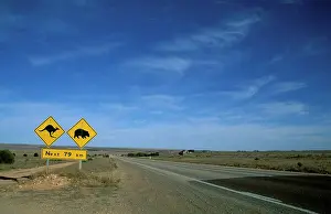 Wombats: Road sign: Kangaroos and wombats, next 92 km.Eyre