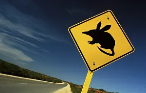 Macrotis: Road sign warning of Bilbies (Macrotis lagotis)