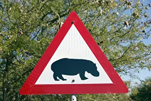 Limpopo: Road sign warning drivers for crossing Hippopot