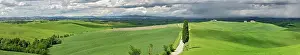 Verdant: Road winding through agricultural region