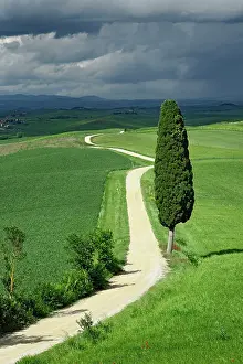 Verdant: Road winding through agricultural region