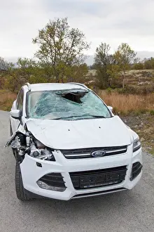 Roadkill: Roadkill Moose Car destroyed by moose Norway
