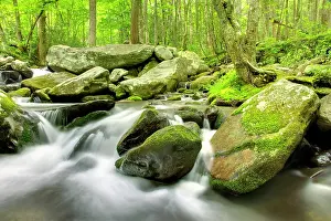 Motor: Roaring Fork River, Roaring Fork Motor Nature
