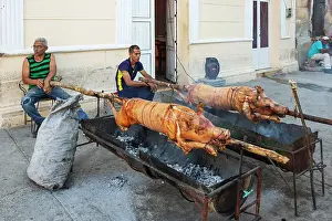 Pigs: Roasting pigs in a pedestrian area of the town centre