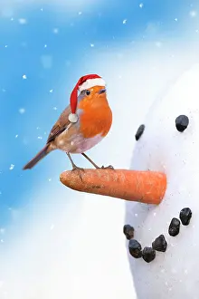 Snowman: Robin