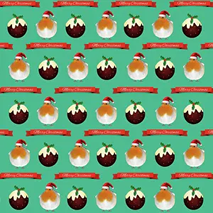 Pudding: Robin with Christmas hat and Christmas pudding