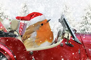 250521: Robin driving a sports car through Christmas winter scene
