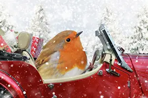 250521: Robin driving a sports car through Christmas winter scene