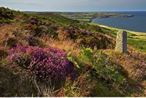 200617: Robin Hood's Bay from Ravenscar, North Yorkshire