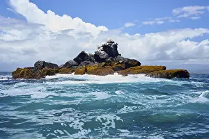 Ecuador: Roca Union, rocks in the sea, blue-footed booby (Sula nebouxii)