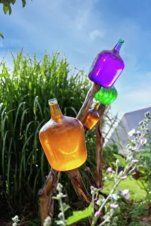 Glass: ROCAMBOLE GARDENS