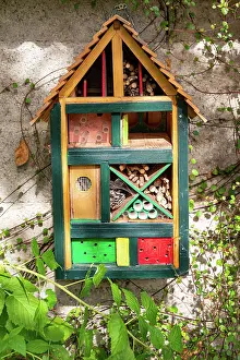 Wooden: ROCAMBOLE GARDENS