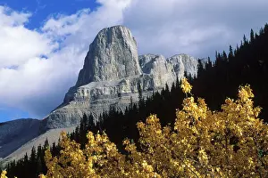 Roche: Roche Miette