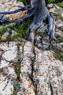 Montana: Rock art in Glacier National Park, Montana, USA. (Editorial