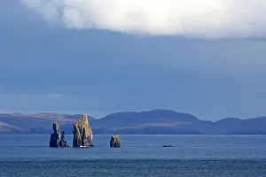 Amidst: Rock formation - sea stacks of The Drongs amidst the ocean