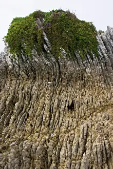 Folded: Rock formations - Oligocene tilted folded vertical