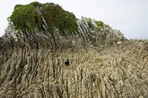 Folded: Rock formations - Oligocene tilted folded vertical
