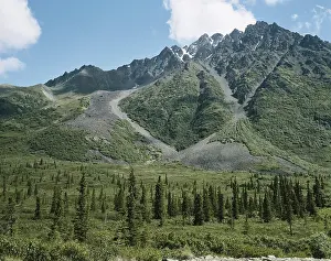 Alder: Rock Glaciers