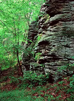 Ledge: Rock Ledge