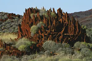 Clump: Rock Outcrop and Spinifex
