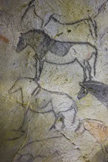 Religions: Rock painting in the cave of Ekain in Cestona Spain