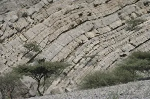 Fold: Rock Strata, United Arab Emirates