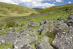 Wistmans: Rock Strewn Moorland in West Dart Valley with Wistmans