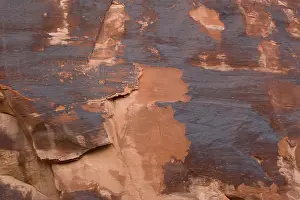 Varnish: Rock varnish, formed on sandstone cliffs over long