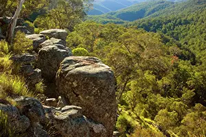 Ebor: Rocks and forest - from the rim around Ebor Falls