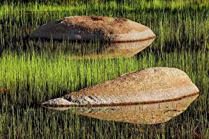Sierra: Rocks and grass at first light, Tuolumne Meadows