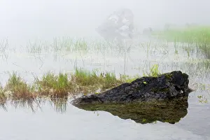 Biot: Rocks and grasses in a misty lake