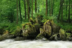 Idylls: Rocks at the River Llugwy or Afon Llugwy, Betws-y-Coed
