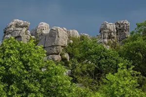 Gard: Rocks sea of Sauve - Sauve - France Gard-