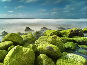 Hawai I: Rocks and seaweed on the beach of Napali Coast