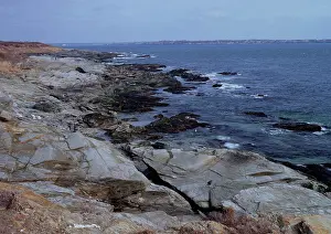 Seagulls: Rocky Coast of Rhode Island