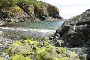 Settlement: Rocky cove at Cadgwith, Lizard peninsula, Cornwall