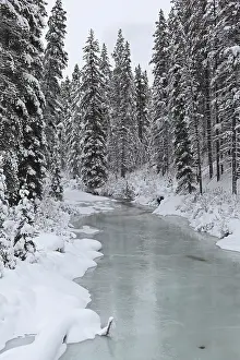Alberta: Rocky mountains & river around Jasper National