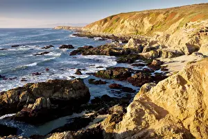 Bodega: Rocky pacific coastline at Bodega Bay, central/north