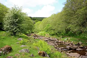 Beacons: Rocky Stream