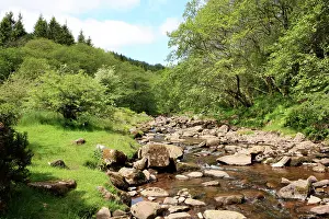 Beacons: Rocky Stream