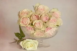 Bowl: Rode, Rosa, glass bowl of pink flowers with a white rose lai